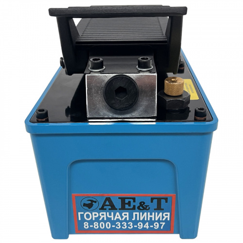 Насос пневмогидравлический 1.6л T08009P AE&T фото 6 Насос пневмогидравлический 1.6л T08009P AE&T фото 6